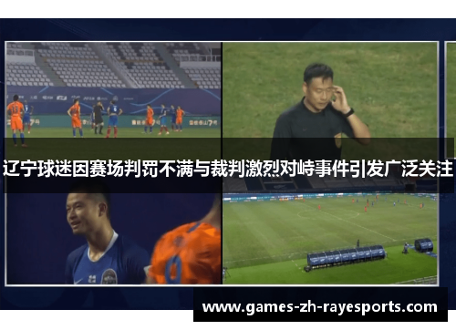 辽宁球迷因赛场判罚不满与裁判激烈对峙事件引发广泛关注